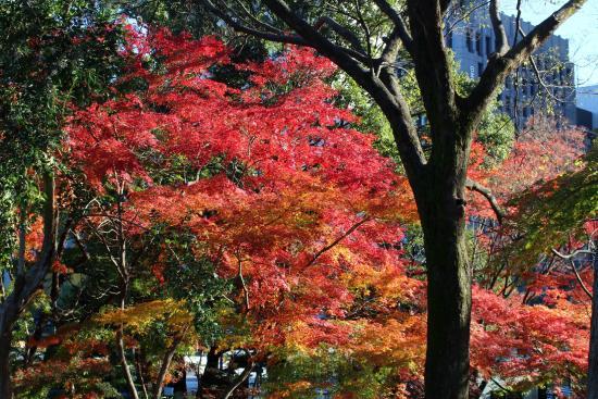 Parco Hibiya